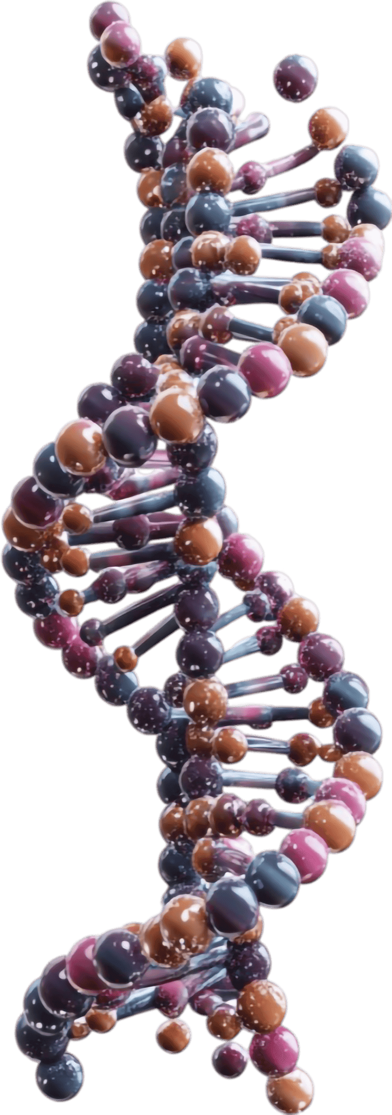 DNA Testing