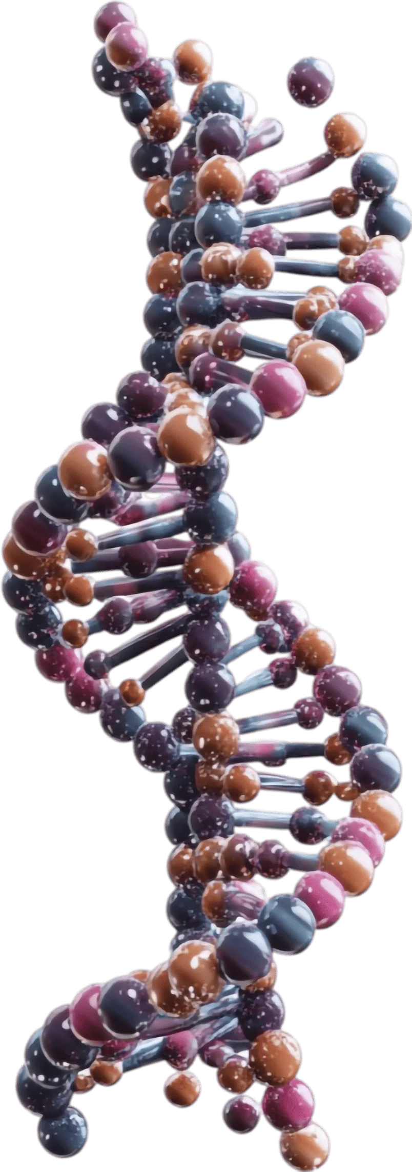 DNA Testing